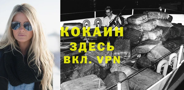 прущий лед Алзамай