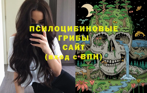прущий лед Алзамай