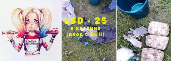 прущий лед Алзамай