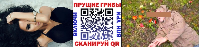 Галлюциногенные грибы Psilocybine cubensis  Шумиха 