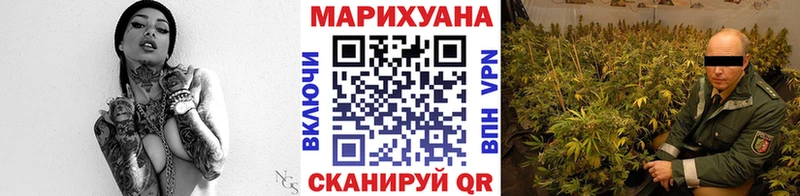магазин продажи   Шумиха  Шишки марихуана OG Kush 